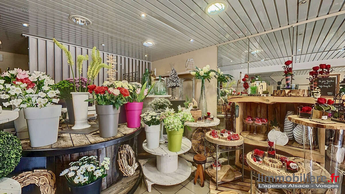 Commerce à SAINTE-MARGUERITE