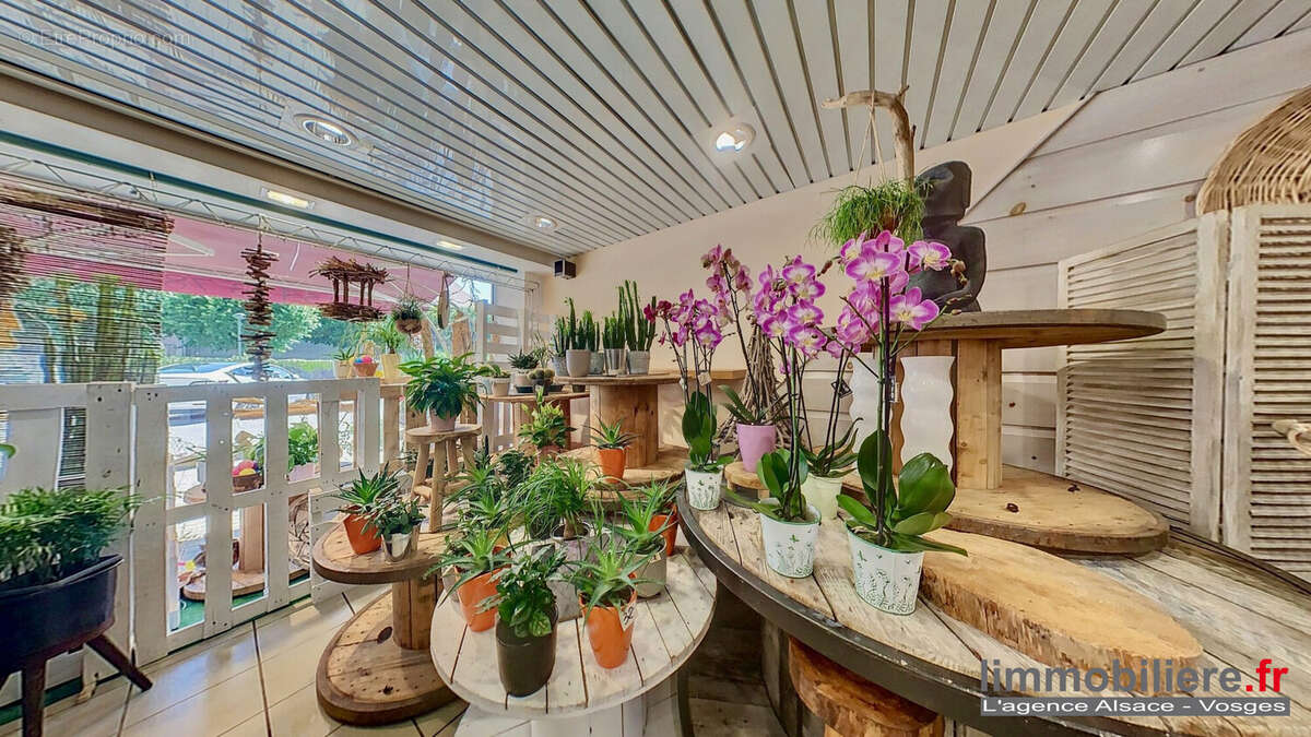 Commerce à SAINTE-MARGUERITE