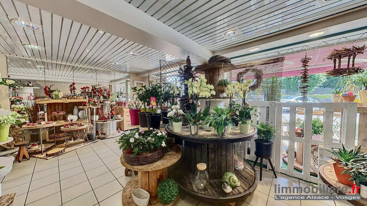 Commerce à SAINTE-MARGUERITE