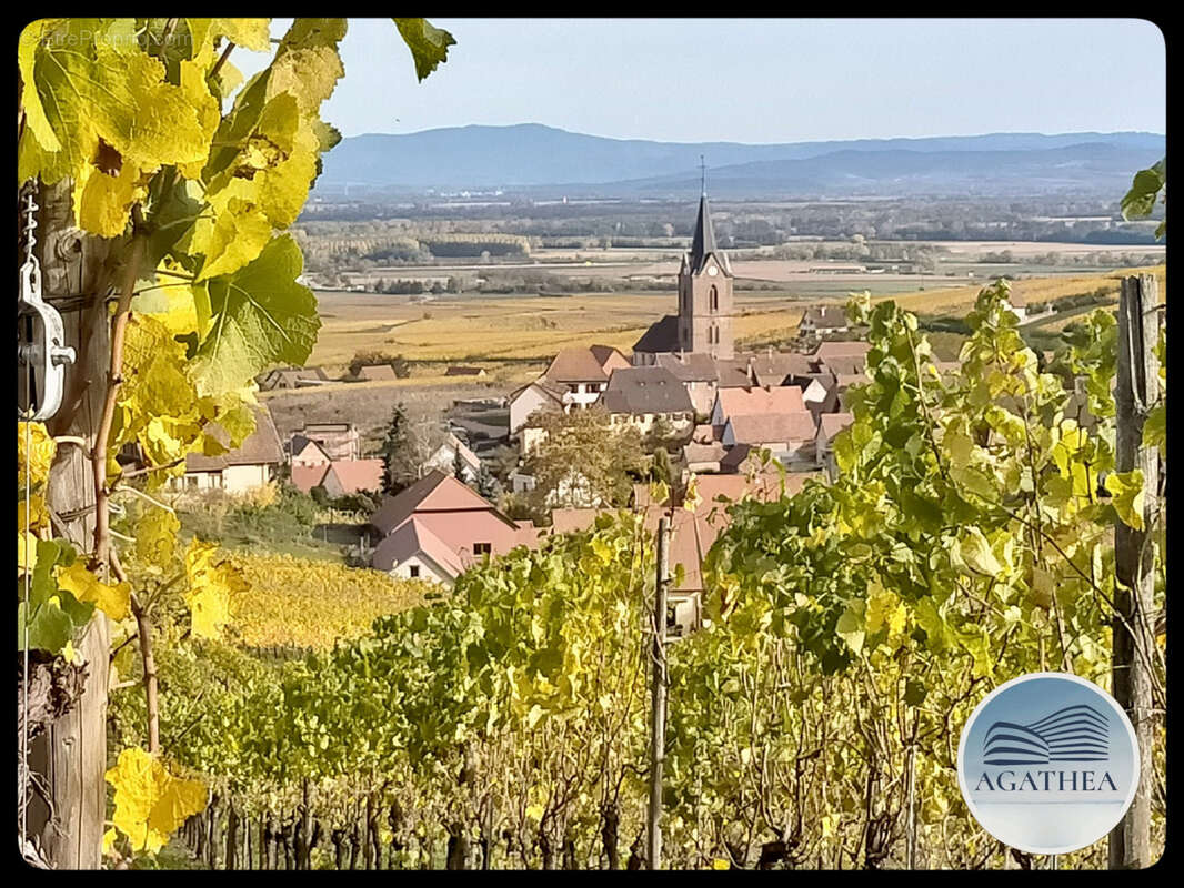Maison à BLIENSCHWILLER