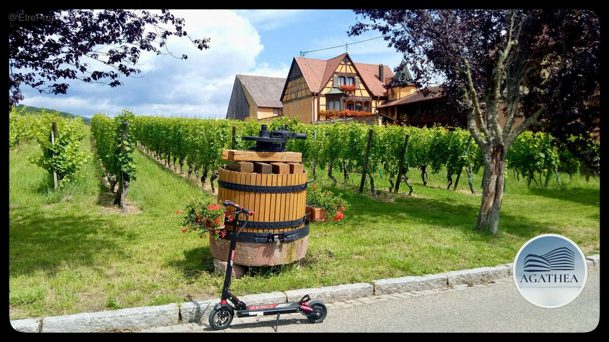 Maison à BLIENSCHWILLER