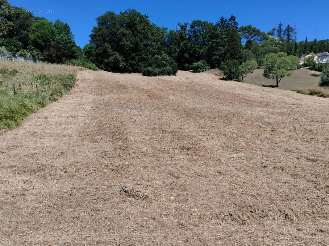 Terrain à BRIVE-LA-GAILLARDE