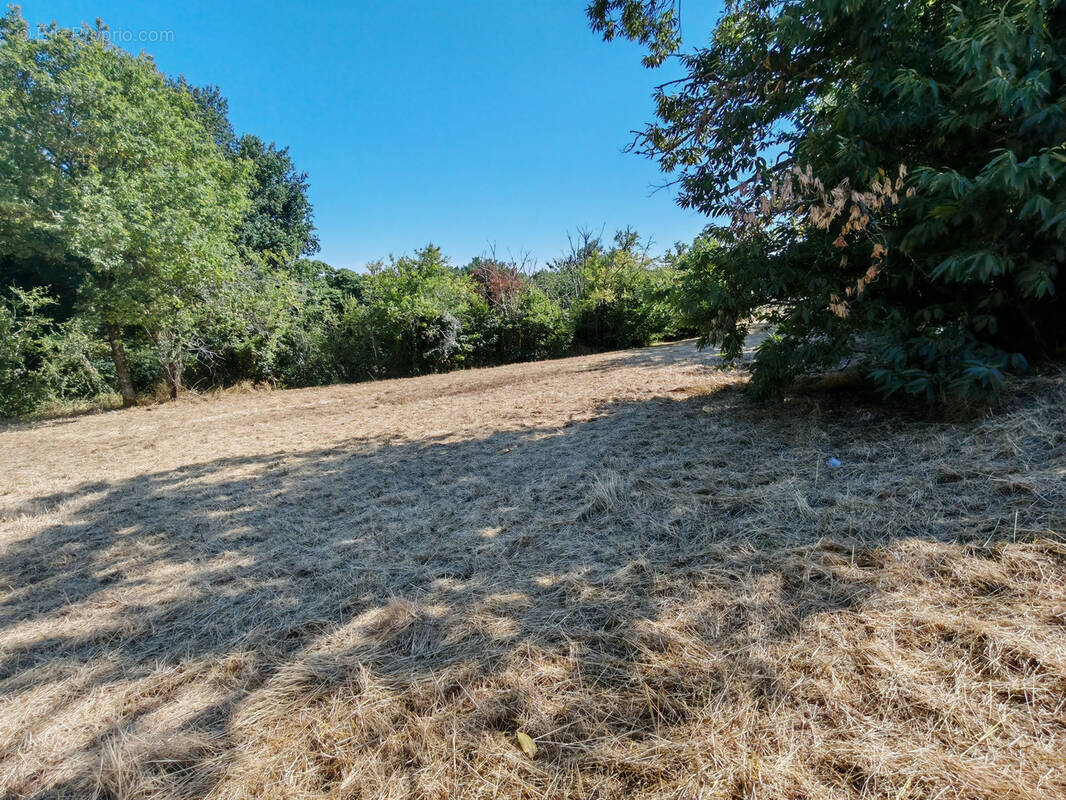 Terrain à BRIVE-LA-GAILLARDE