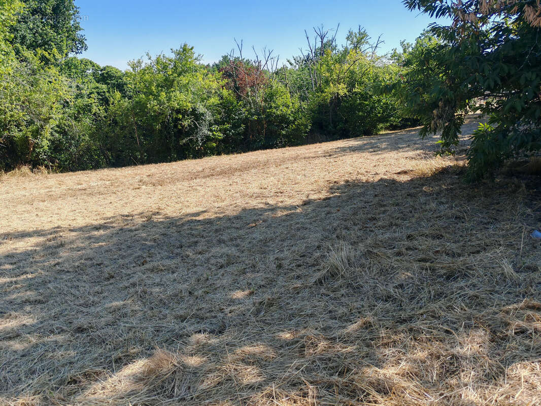 Terrain à BRIVE-LA-GAILLARDE