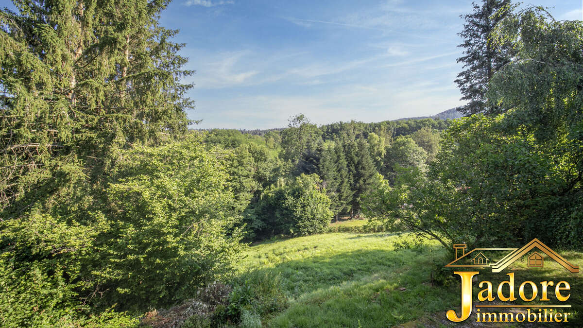 Maison à SAINT-DIE-DES-VOSGES