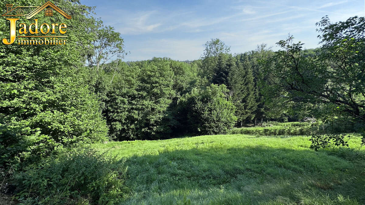 Maison à SAINT-DIE-DES-VOSGES