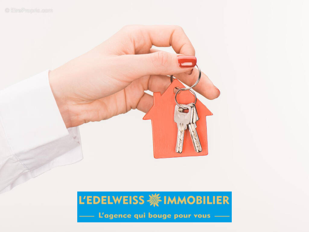 Commerce à MORILLON