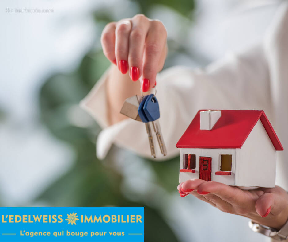 Commerce à MORILLON