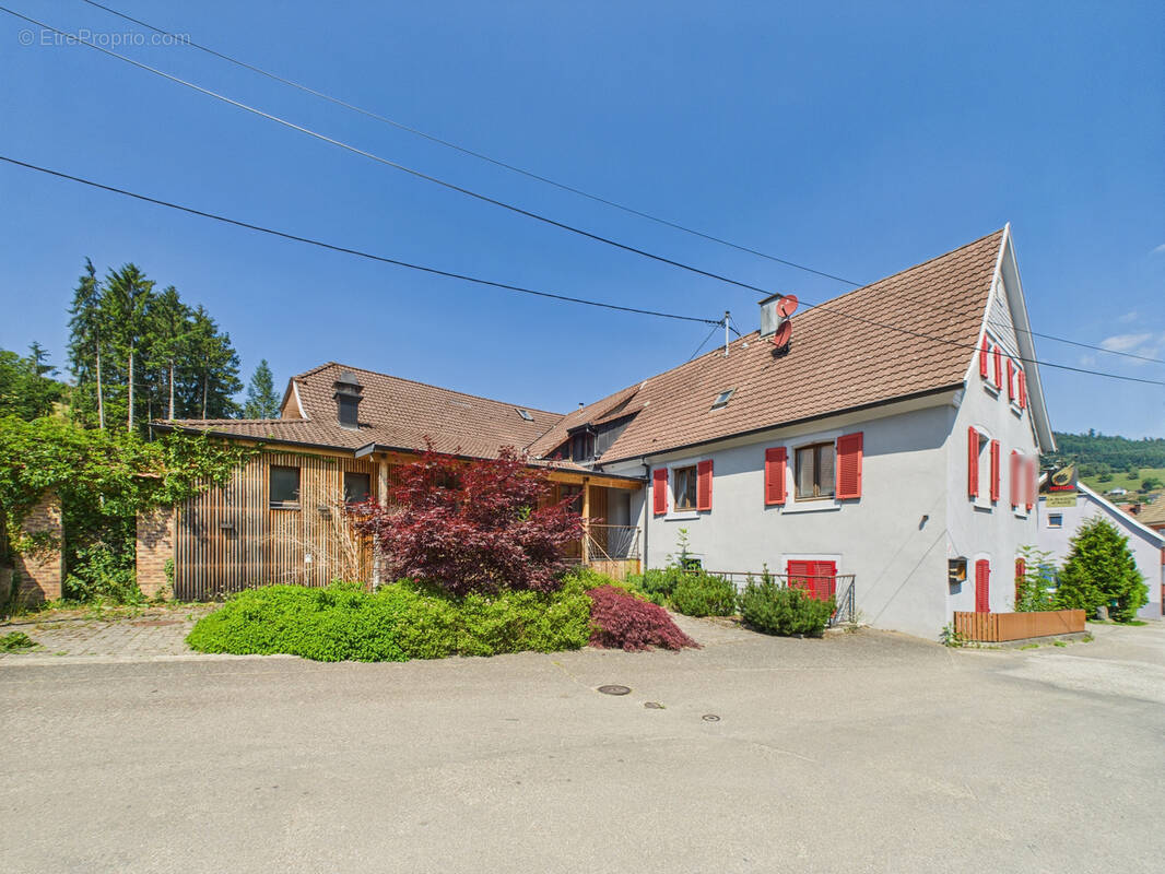 Commerce à BREITENBACH-HAUT-RHIN