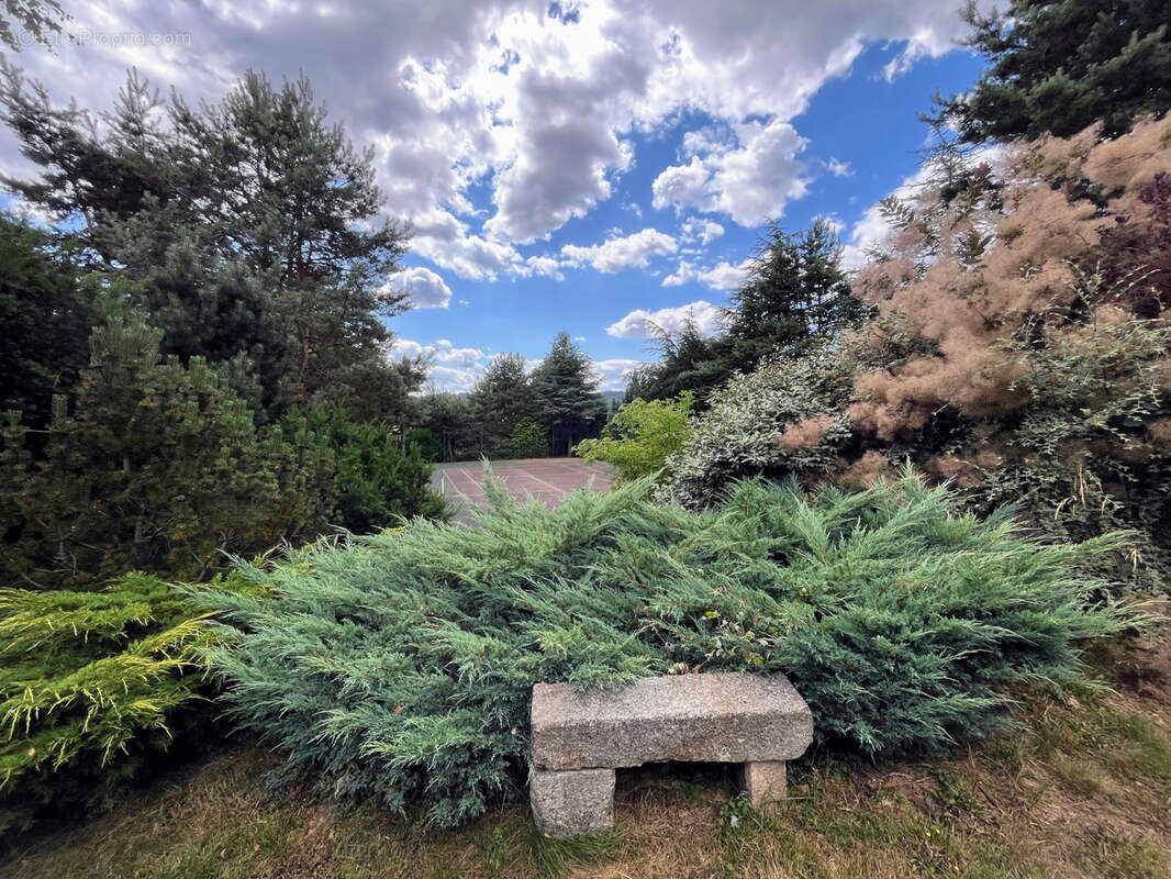 Maison à ROZIER-COTES-D&#039;AUREC