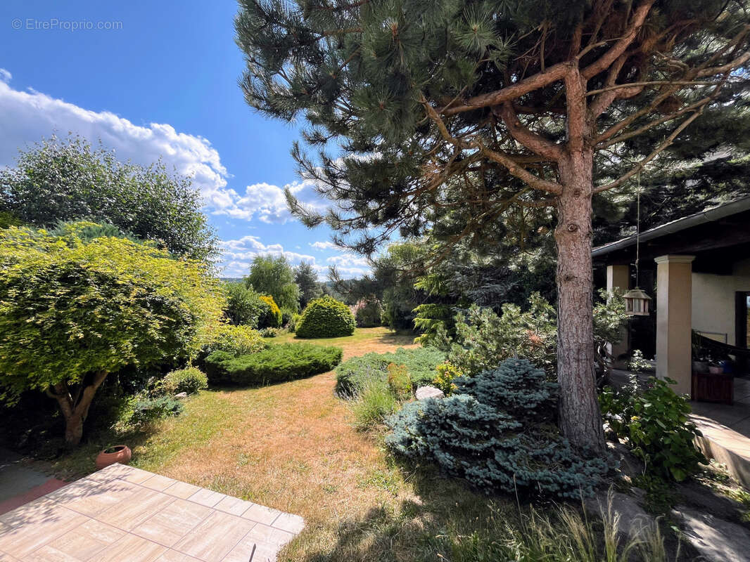 Maison à ROZIER-COTES-D&#039;AUREC