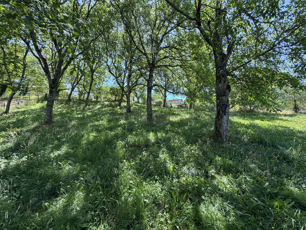 Terrain à LA FORTERESSE