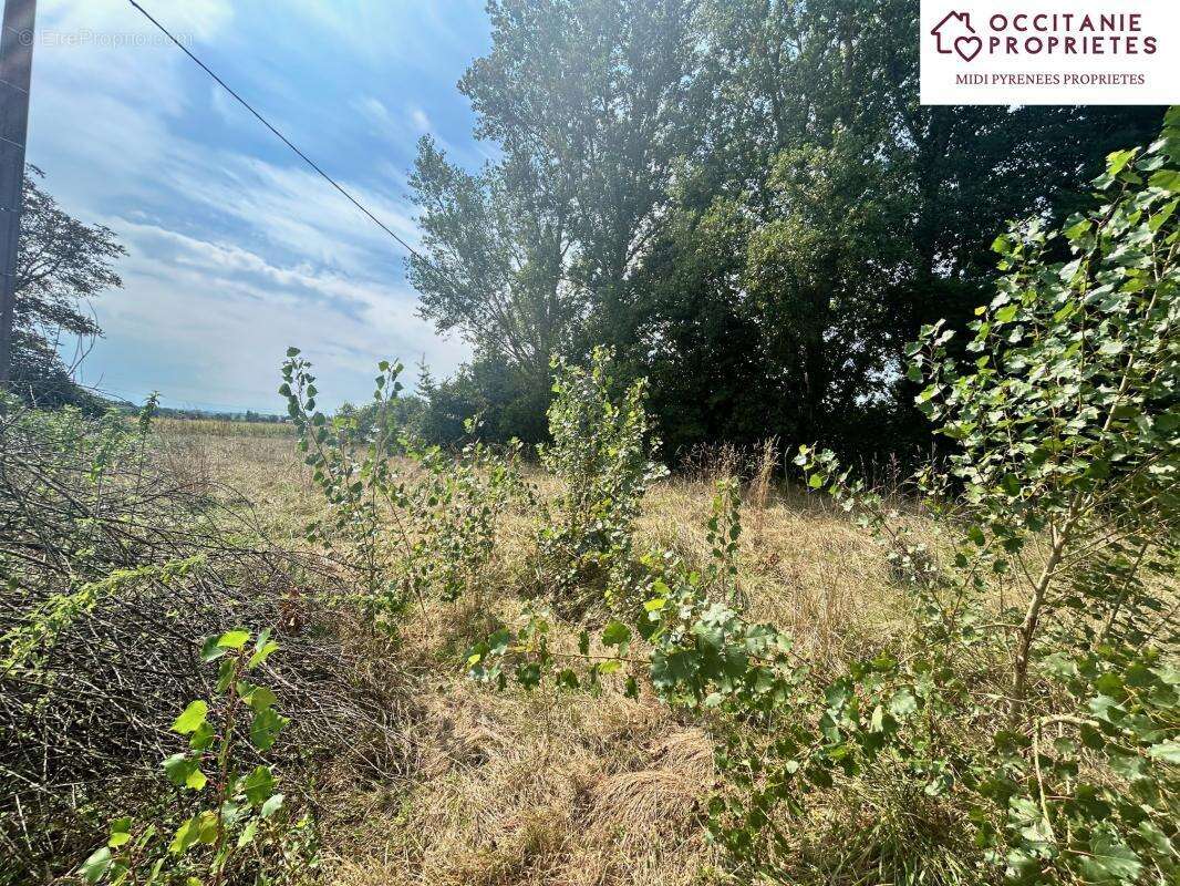 Maison à LEZAT-SUR-LEZE