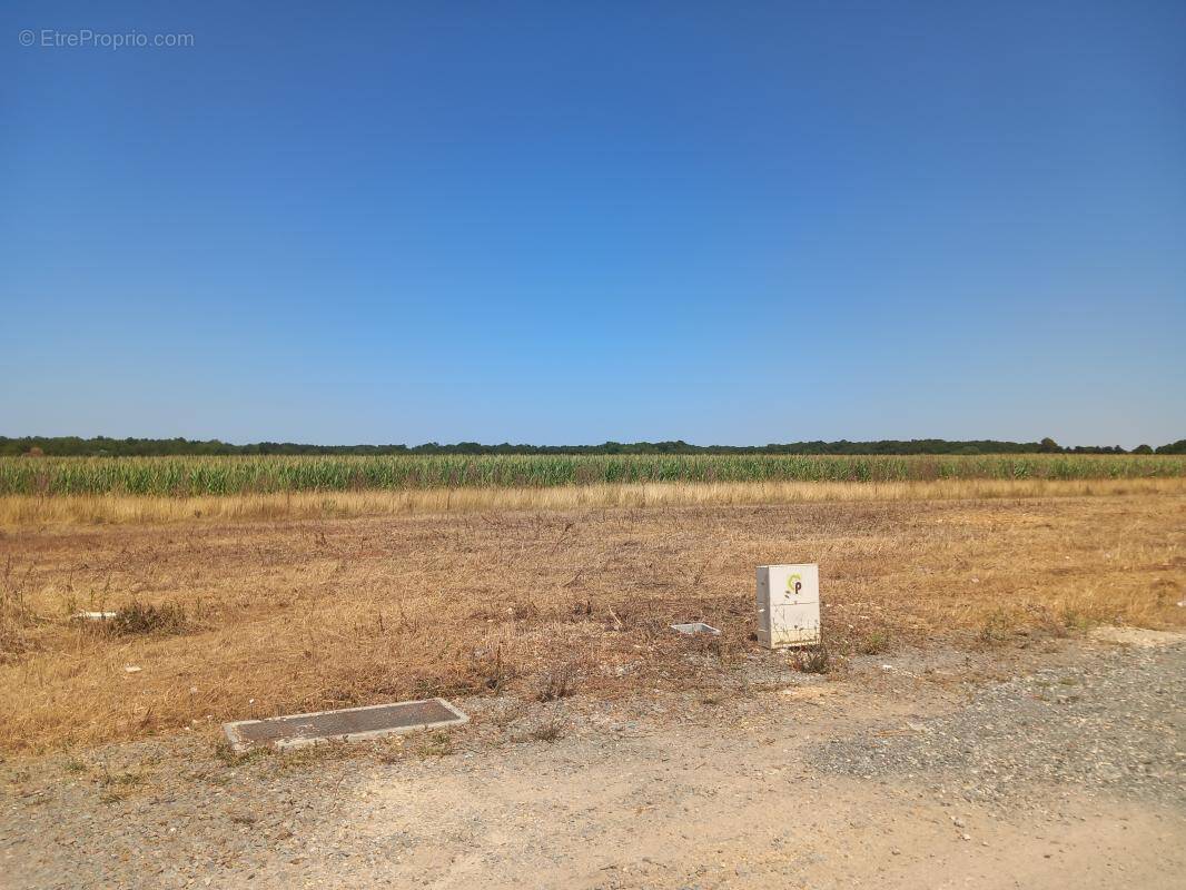 Terrain à BOURGNEUF