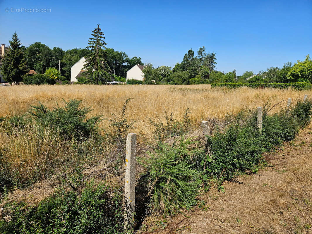 Terrain à LANDELLES