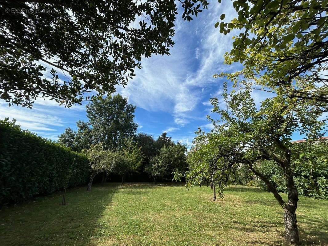 Maison à LA MOTHE-SAINT-HERAY