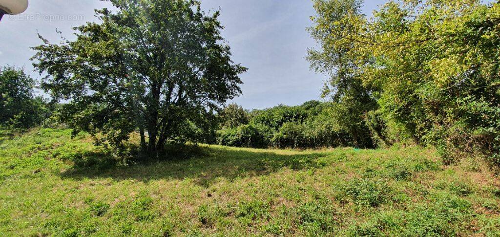 Terrain à LISSAC-SUR-COUZE