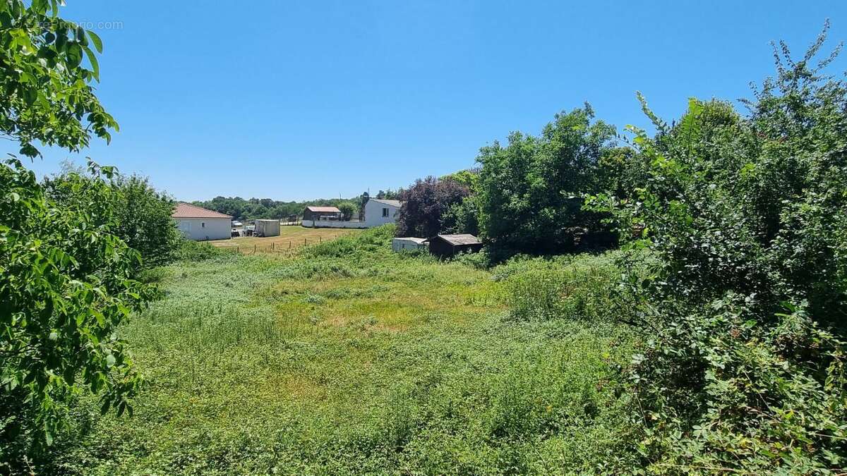 Terrain à CAMPSEGRET