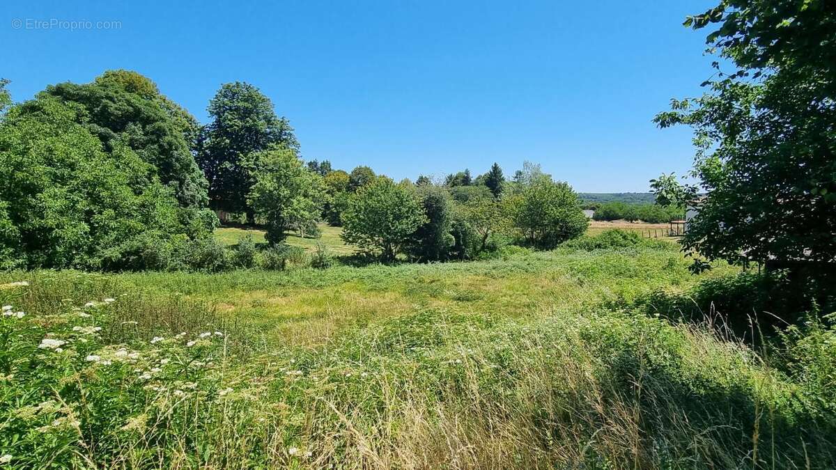 Terrain à CAMPSEGRET