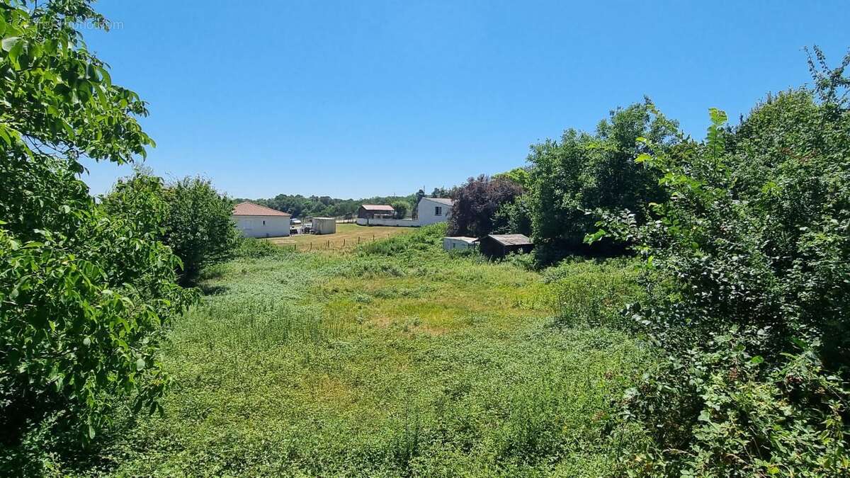 Terrain à CAMPSEGRET