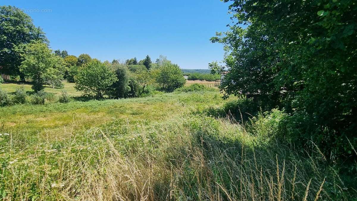 Terrain à CAMPSEGRET