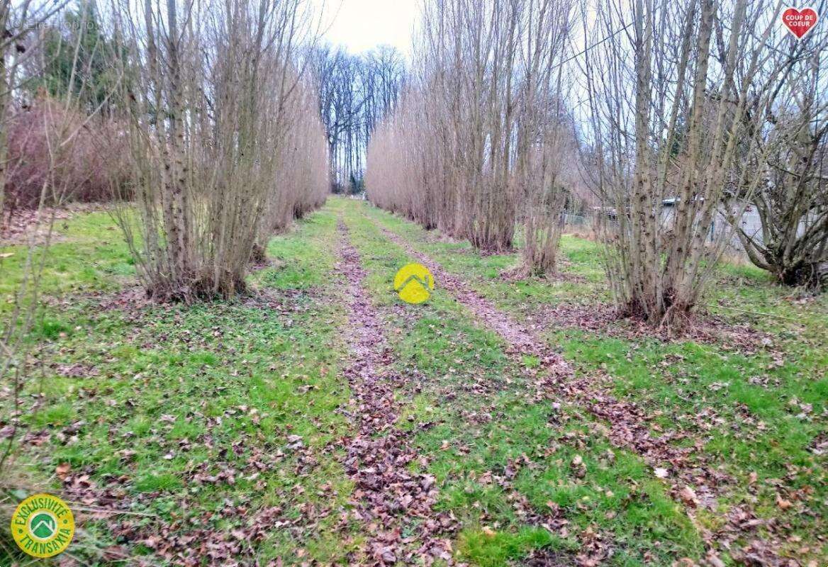 Maison à LURCY-LEVIS