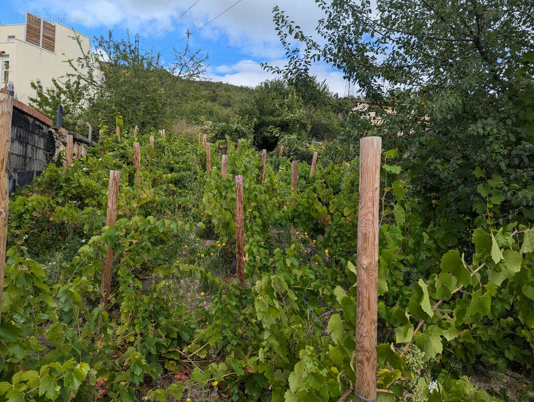 Terrain à CLERMONT-FERRAND