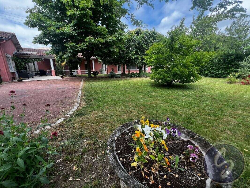 Maison à SAINT-MAIXENT-L&#039;ECOLE