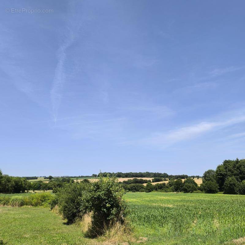 Maison à L&#039;OIE