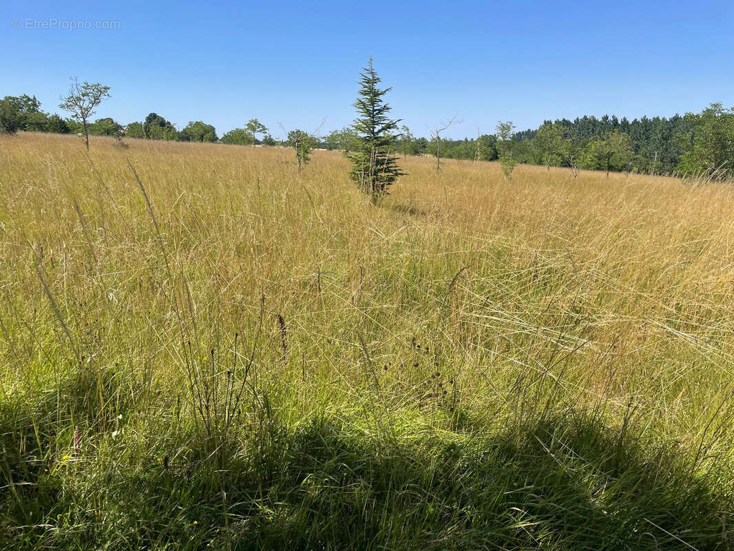 Maison à BARBEZIEUX-SAINT-HILAIRE