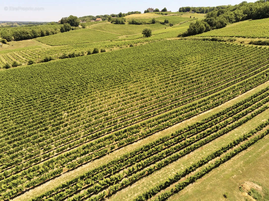 Maison à MONBAZILLAC