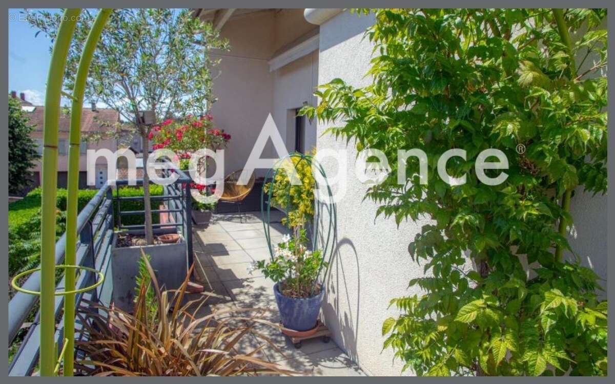 Appartement à TASSIN-LA-DEMI-LUNE