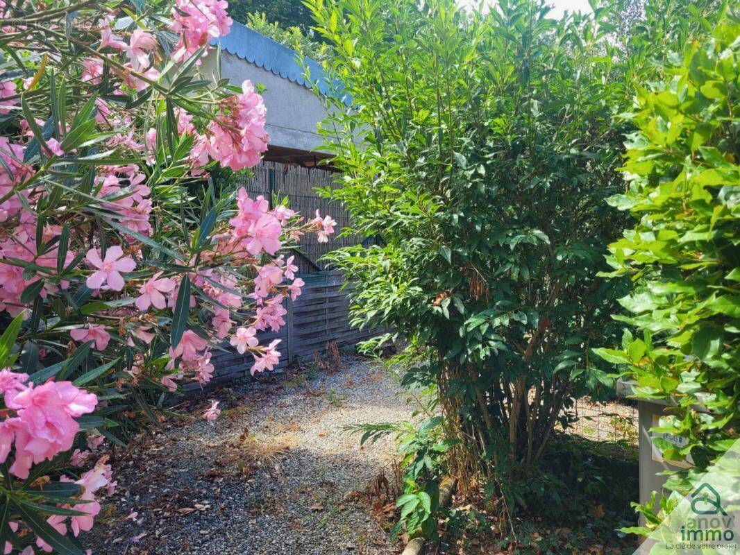 Maison à CINTEGABELLE