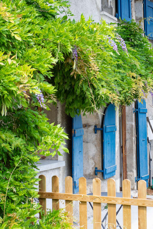 Maison à SAINT-JORIOZ