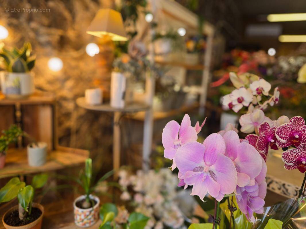 Commerce à SAINT-PIERRE