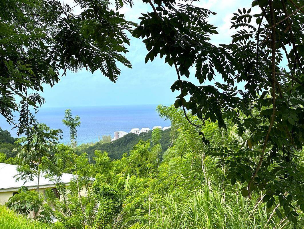 Terrain à SAINTE-LUCE