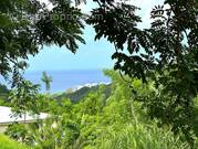 Terrain à SAINTE-LUCE