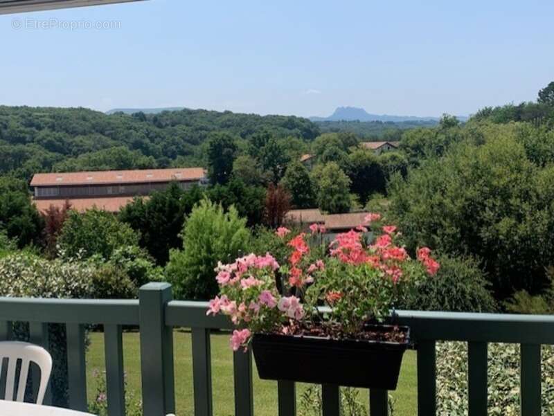 Appartement à URRUGNE