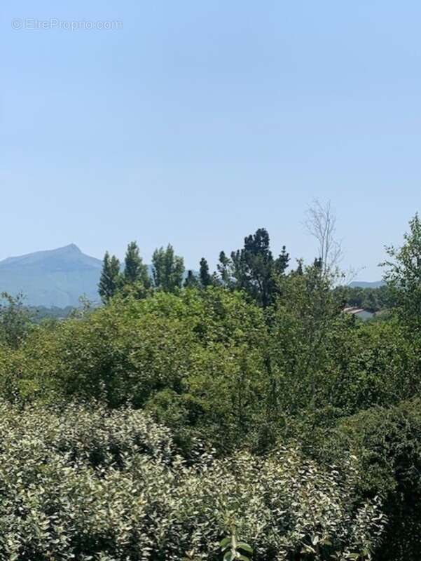 Appartement à URRUGNE