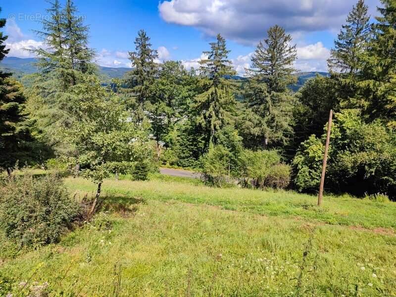 Maison à LA SALVETAT-SUR-AGOUT
