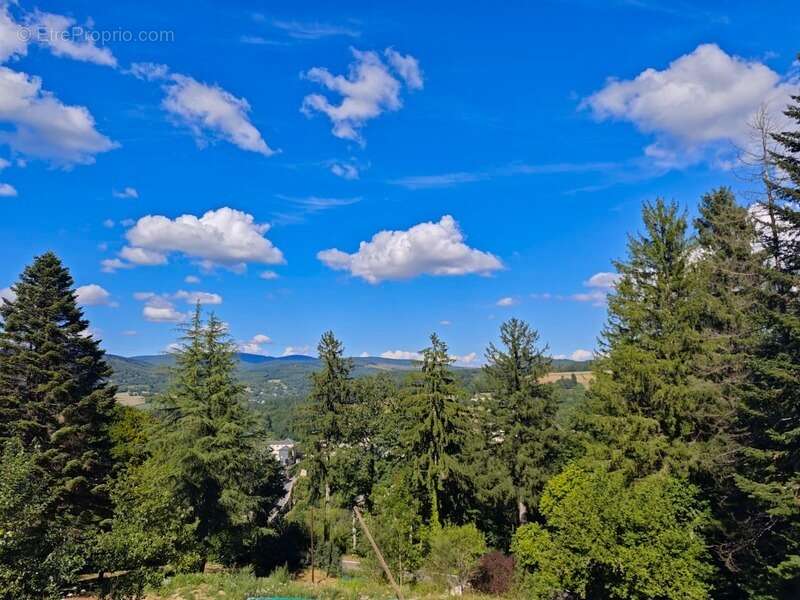 Maison à LA SALVETAT-SUR-AGOUT