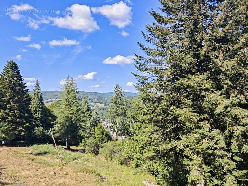 Maison à LA SALVETAT-SUR-AGOUT