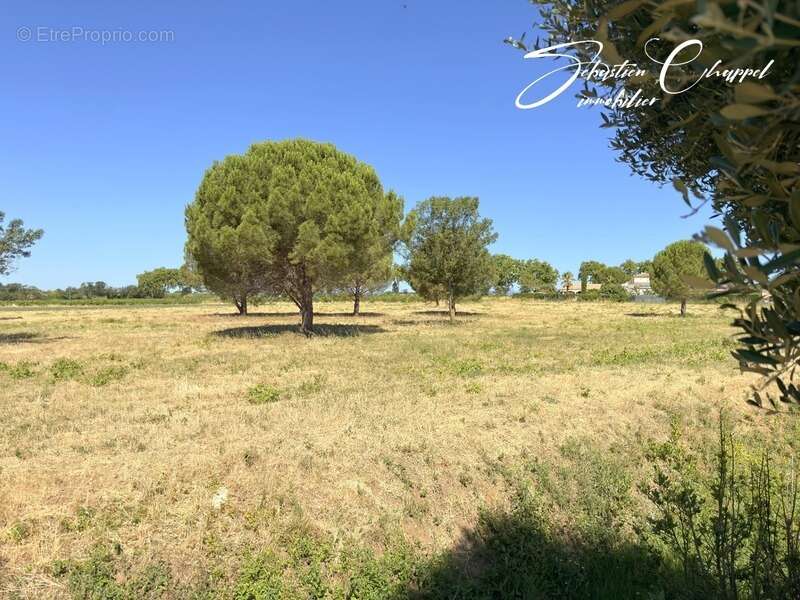 Terrain à ALIGNAN-DU-VENT