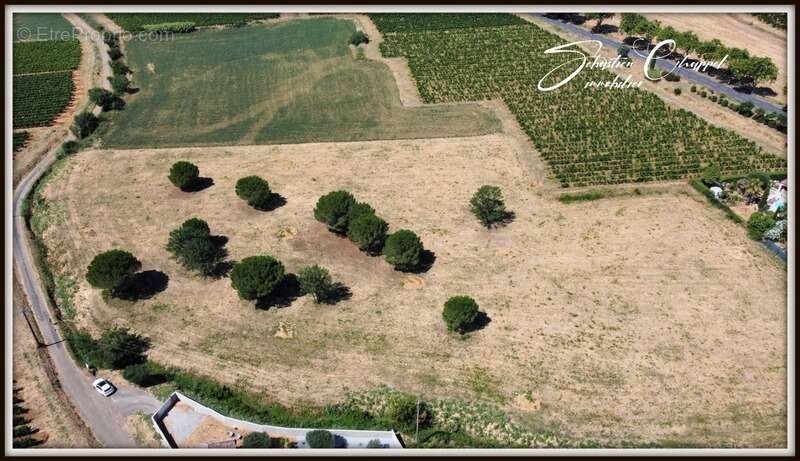 Terrain à ALIGNAN-DU-VENT