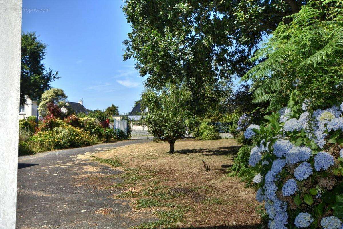 Commerce à TRELEVERN