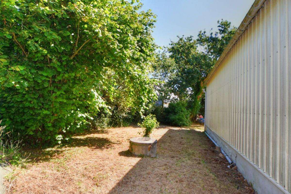 Commerce à TRELEVERN