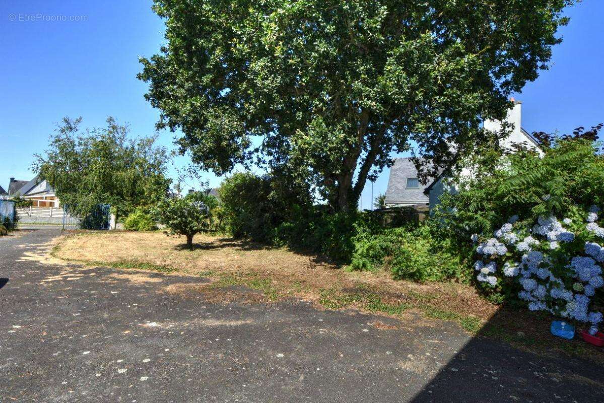 Commerce à TRELEVERN