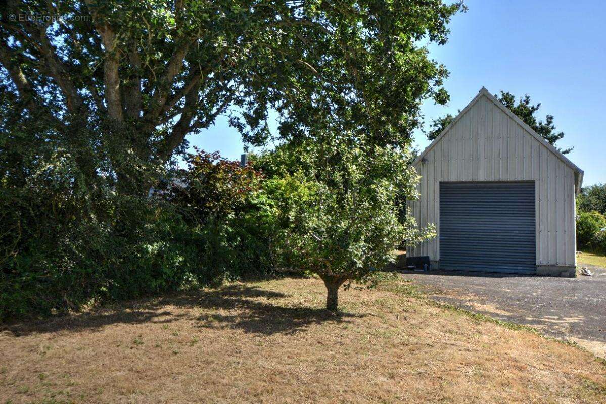 Commerce à TRELEVERN