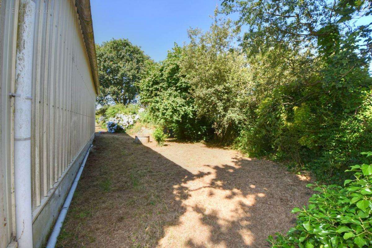 Commerce à TRELEVERN