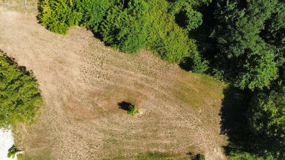 Terrain à NAVARRENX